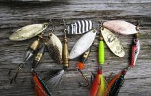 صيد سمك السلمون والسلمون المرقط باستخدام قضيب الغزل