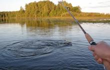 Where to go fishing in the Moscow region: description