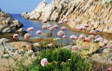 Wisata dan aktivitas Taman Nasional La Maddalena