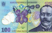 Lei - novčana jedinica Rumunjske: povijest izgleda, izgled, tečaj